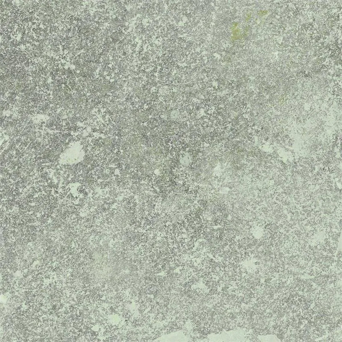 Castelvetro Always 'Grigio', vloer- en wandtegel grijs mat 100x100cm