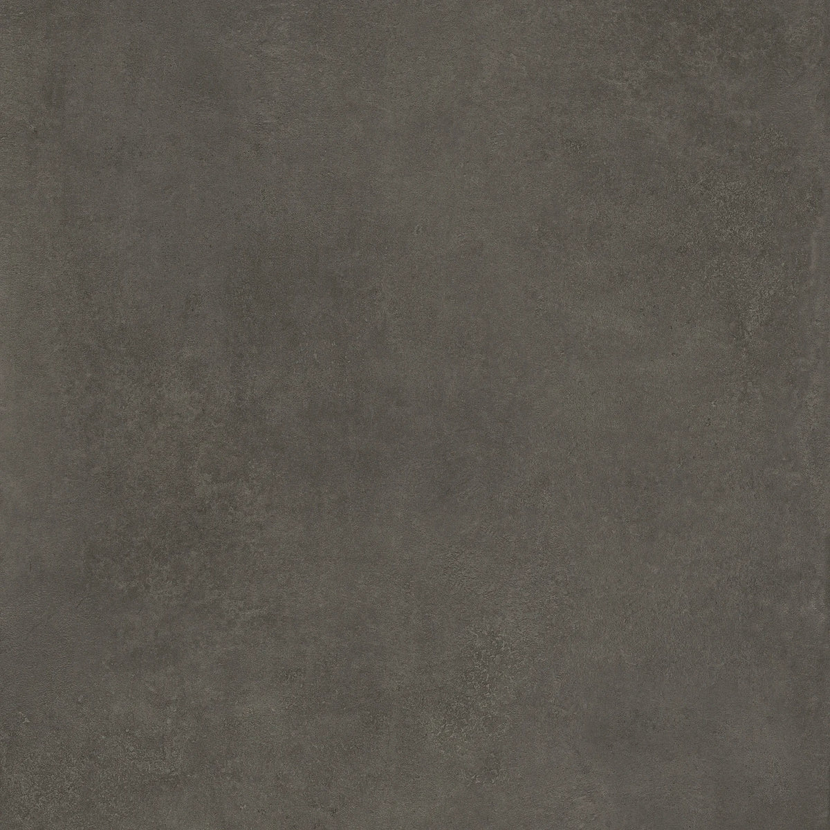 Castelvetro Terrae 'Graphite', vloer- en wandtegel antraciet mat 60x60cm
