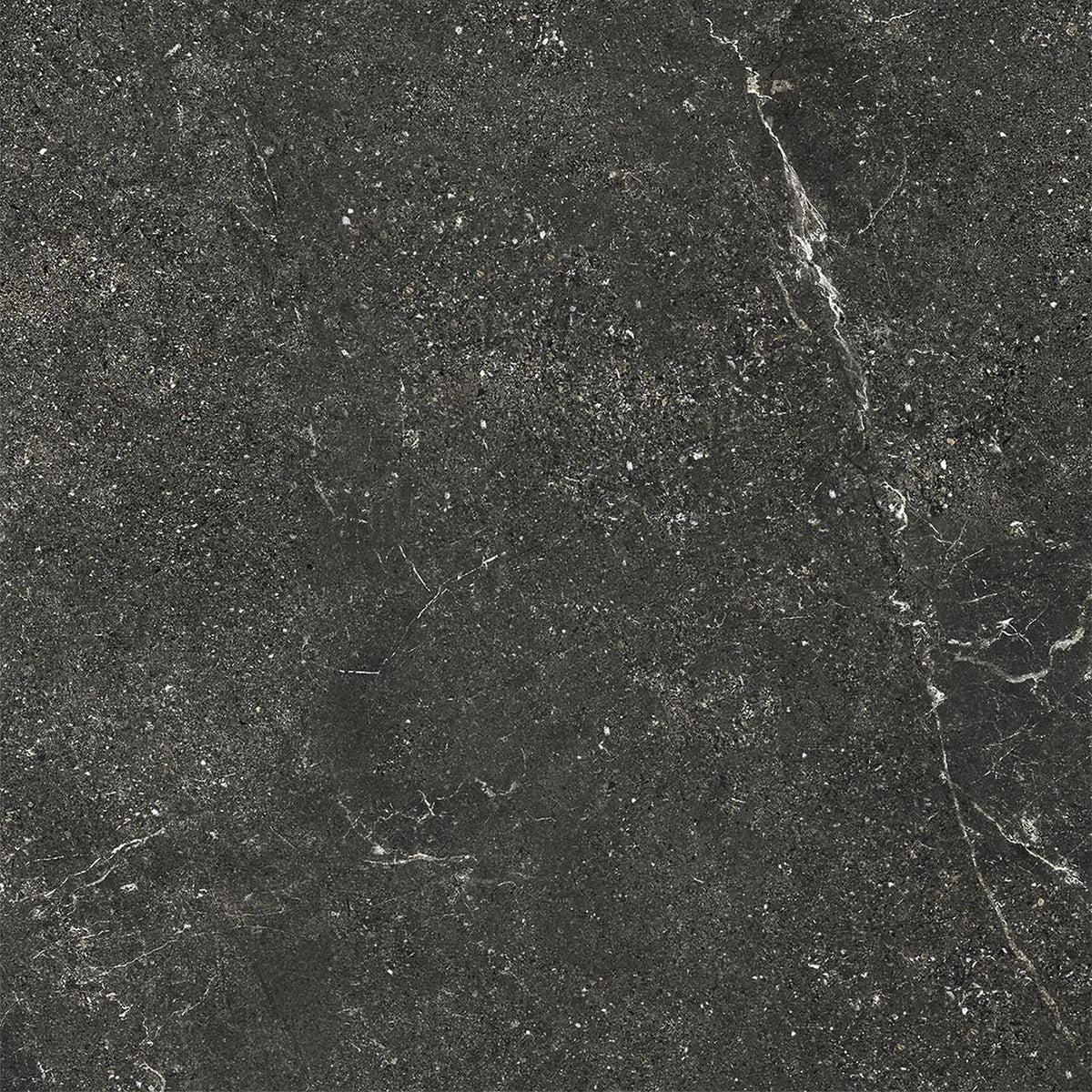 EnergieKer Wonder 'Brave', vloer- en wandtegel antraciet mat 120x120cm