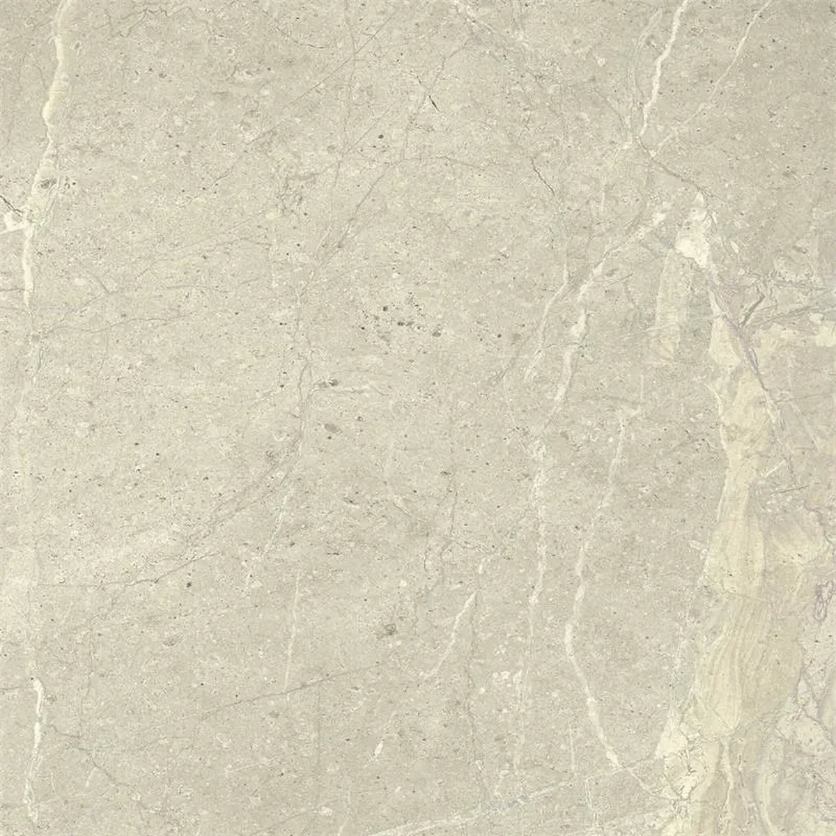 Lea Ceramiche Anthology 'White Worn', vloer- en wandtegel grijs en wit zijdeglans 60x60cm