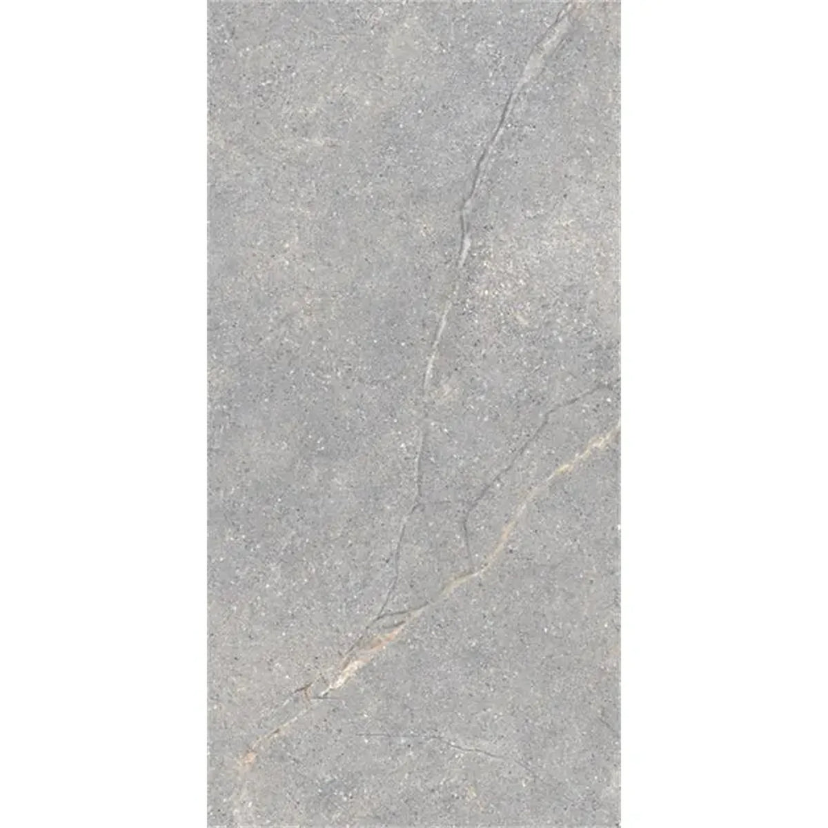 Lea Ceramiche Anthology 'Gray Worn', vloer- en wandtegel grijs zijdeglans 60x120cm
