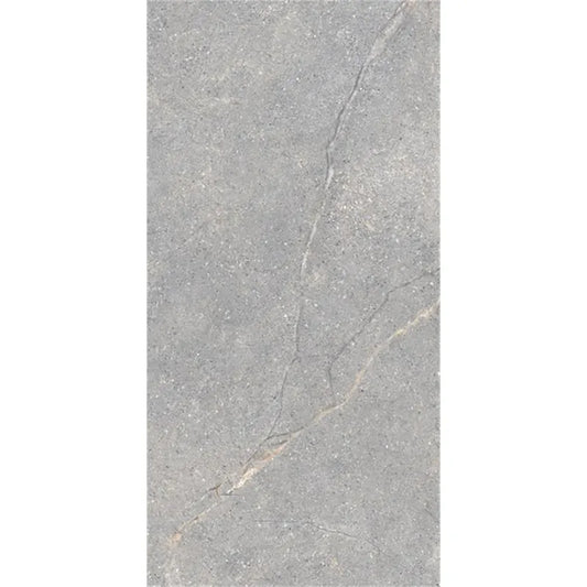 Lea Ceramiche Anthology 'Gray Worn', vloer- en wandtegel grijs zijdeglans 60x120cm