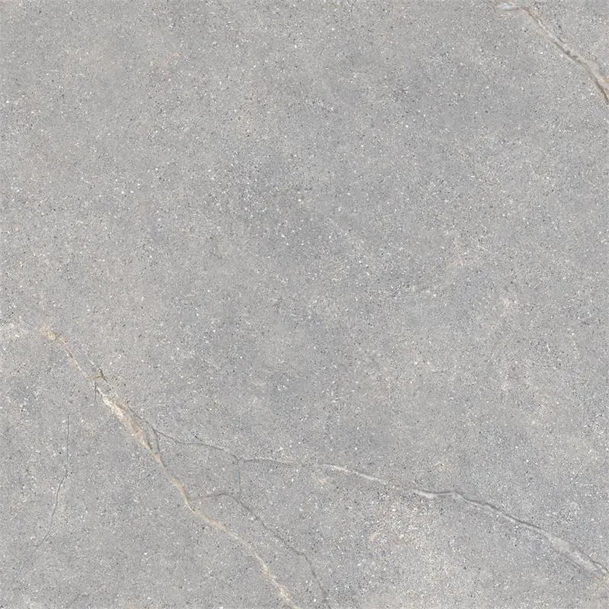 Lea Ceramiche Anthology 'Gray Worn', vloer- en wandtegel grijs zijdeglans 60x60cm