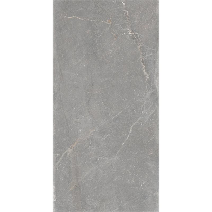 Vloertegel Bleuemix 'Grey Soft' grijs mat 60x120 gerectificeerd – MisterTile