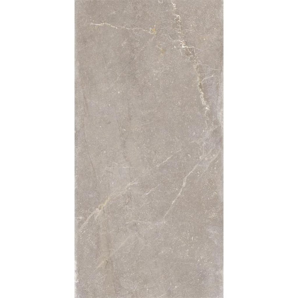 Vloertegel Bleuemix 'Taupe Soft' taupe mat 60x120 gerectificeerd – MisterTile