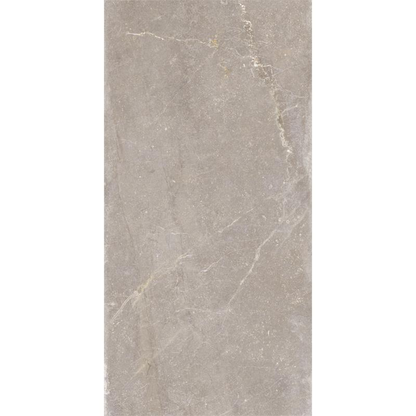 Vloertegel Bleuemix 'Taupe Soft' taupe mat 60x120 gerectificeerd – MisterTile