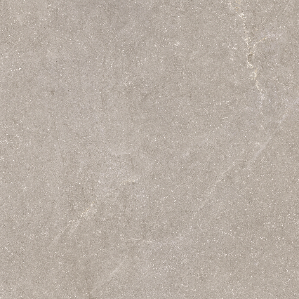 Vloertegel Bleuemix 'Taupe Soft' taupe mat 60x120 gerectificeerd – MisterTile