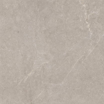 Vloertegel Bleuemix 'Taupe Soft' taupe mat 60x120 gerectificeerd – MisterTile