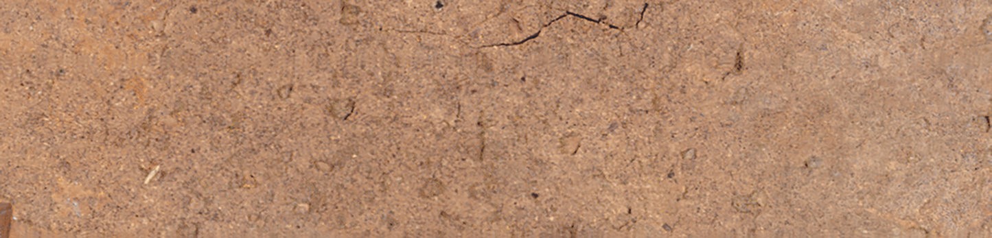 Vloertegel Bristol 'Cream' beige-bruin mat 6,6x25cm