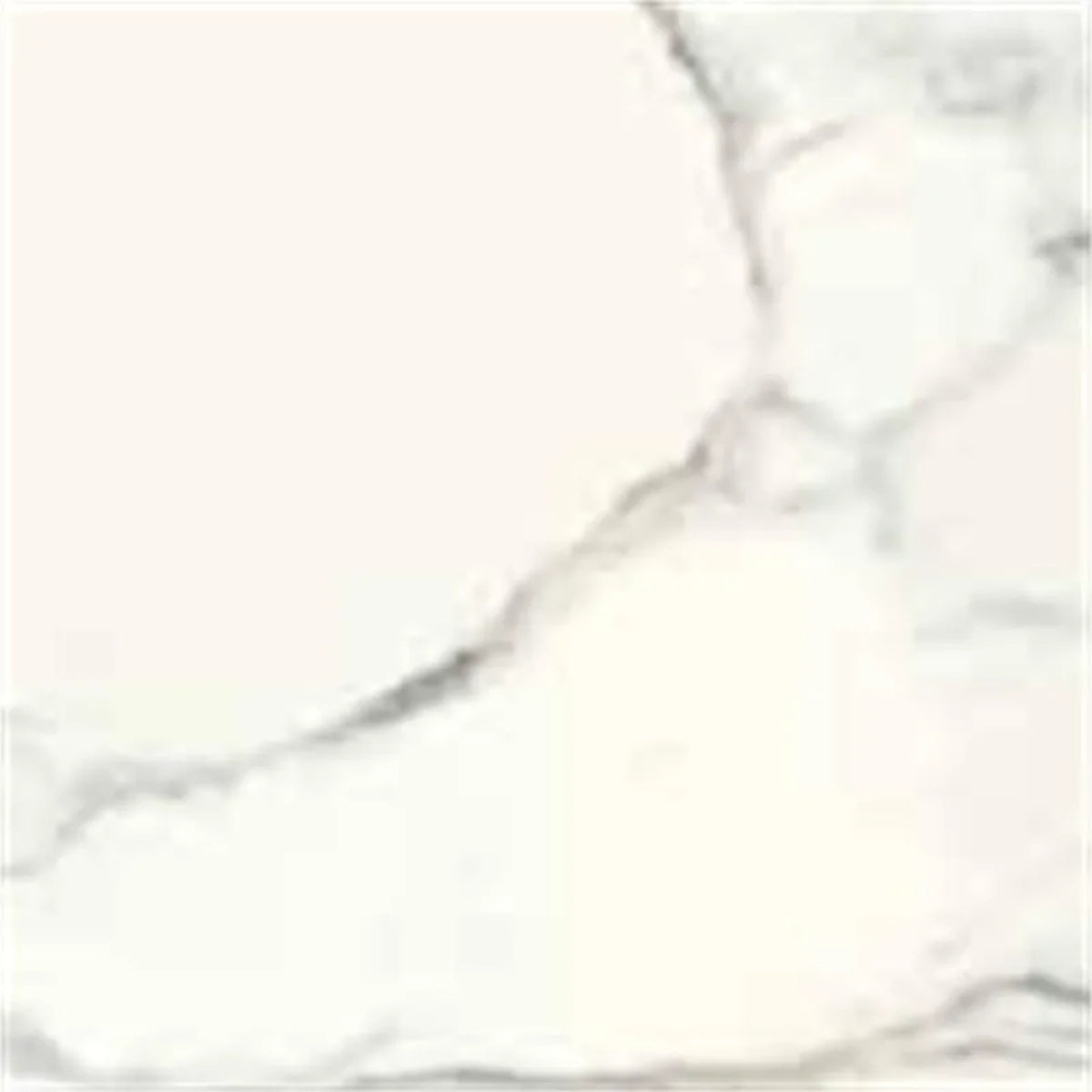 EnergieKer Calacatta, vloer- en wandtegel grijs en wit gepolijst 60x60cm