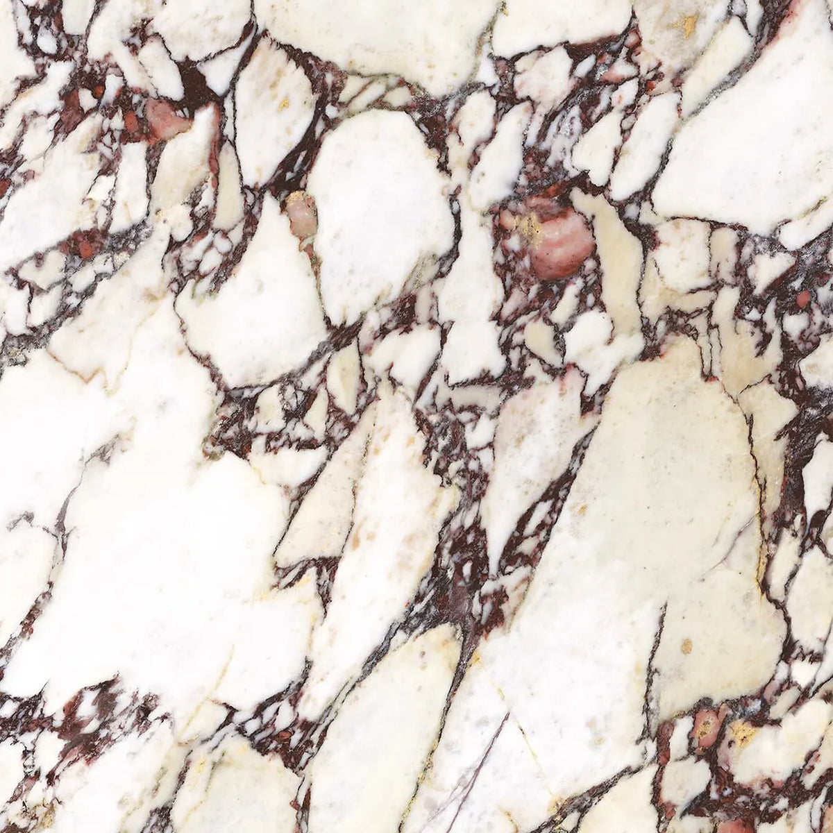 EnergieKer Calacatta Viola, vloer- en wandtegel paars gepolijst 120x120cm