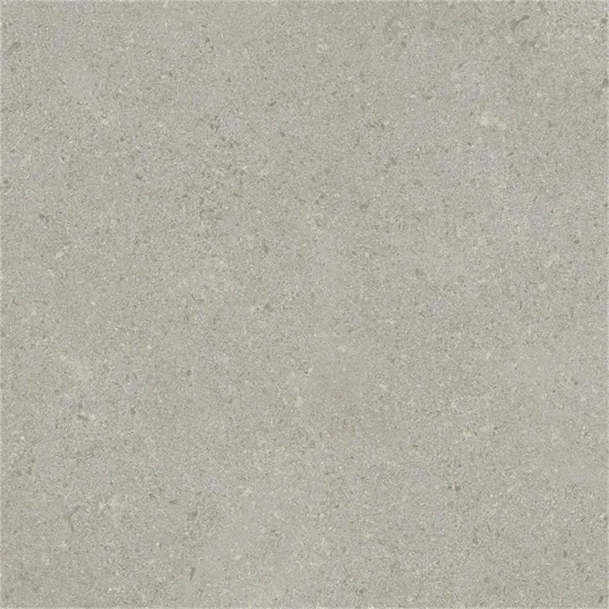 Ceramica Valsecchia Capital 'Silver', vloer- en wandtegel grijs mat 30x30cm