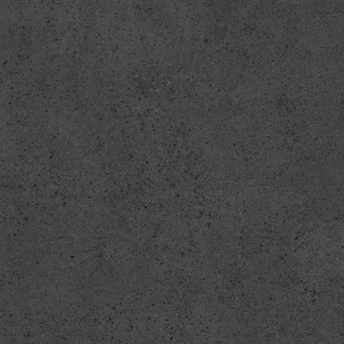 Casalgrande Padana Elements Pebbles 'Black', vloer- en wandtegel zwart mat 30x60cm