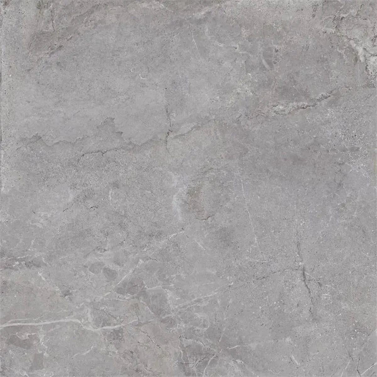 Castelvetro Evolution 'Grey', vloer- en wandtegel grijs mat 100x100cm