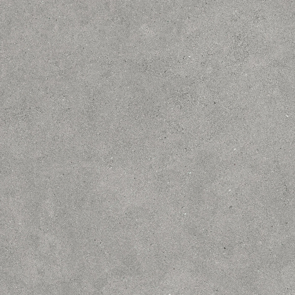 Argenta Cerámica Hardy 'Concrete', vloer- en wandtegel grijs mat 60x60cm