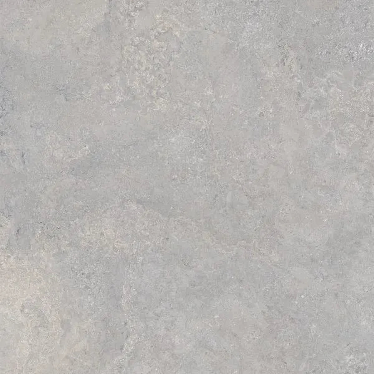 EnergieKer Heritage 'Powder', vloertegel grijs mat gerectificeerd 60x120cm