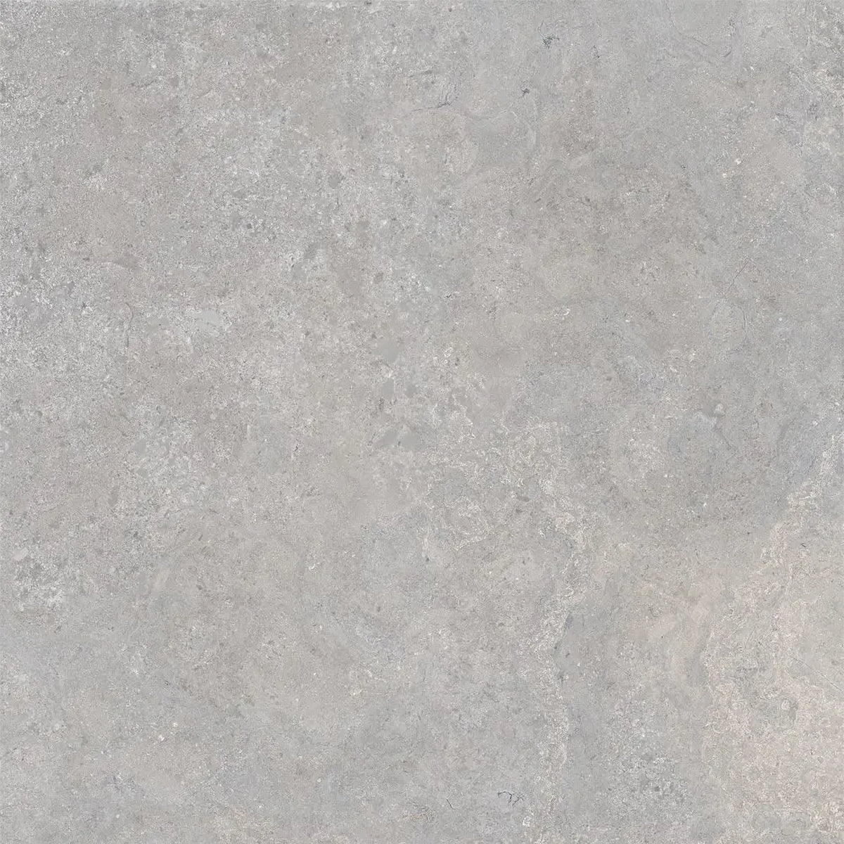 EnergieKer Heritage 'Powder', vloertegel grijs mat gerectificeerd 60x60cm