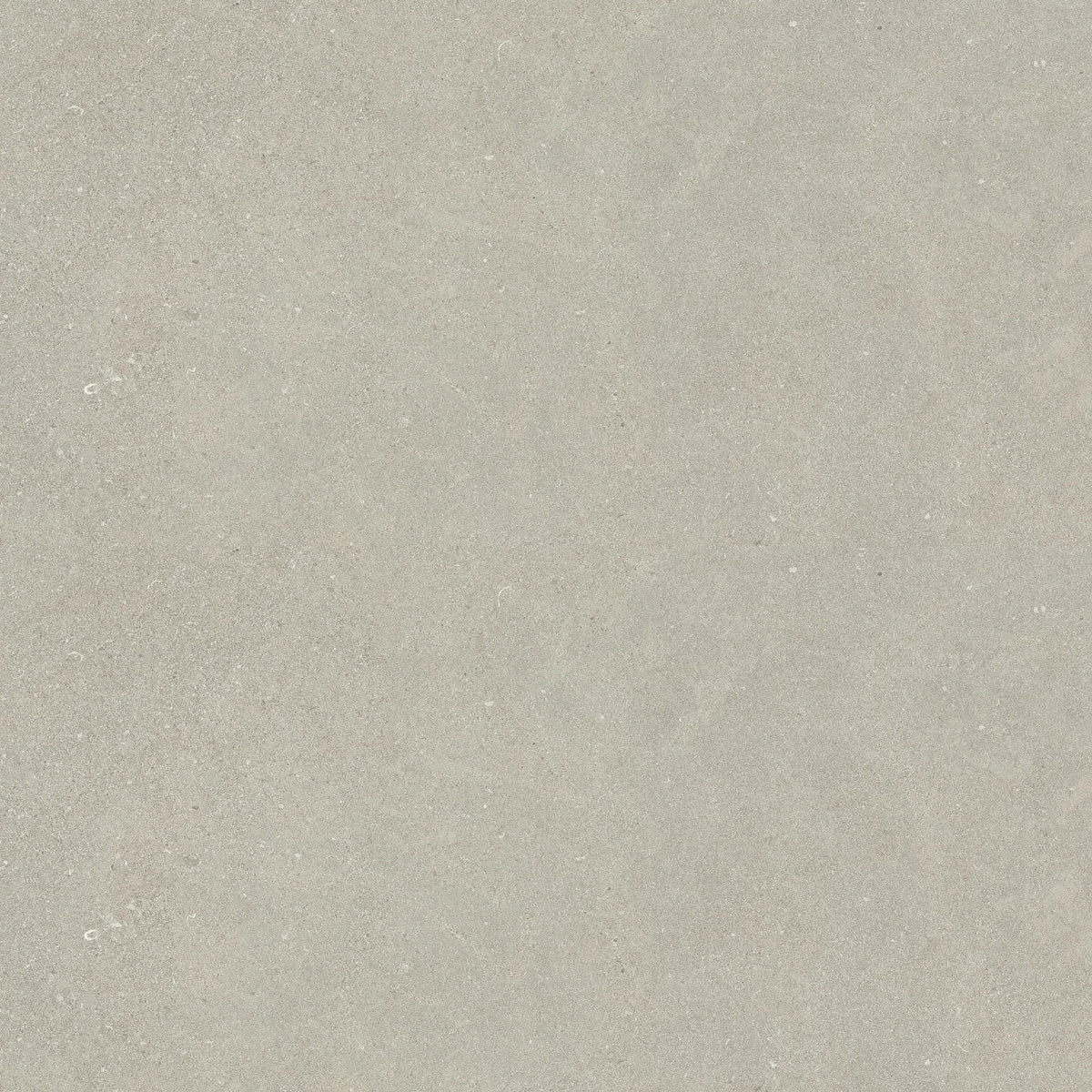 Lea Ceramiche Intense 'Perle', vloer- en wandtegel beige en grijs mat 60x120cm