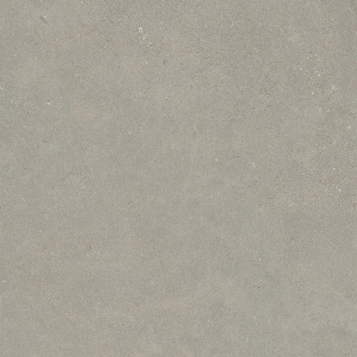 Lea Ceramiche Intense 'Crete', vloer- en wandtegel grijs mat 120x120cm