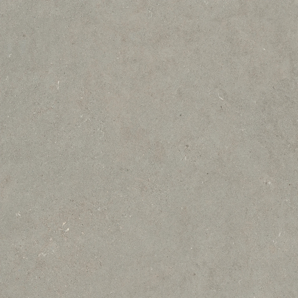 Lea Ceramiche Intense 'Crete', vloer- en wandtegel grijs mat 60x60cm