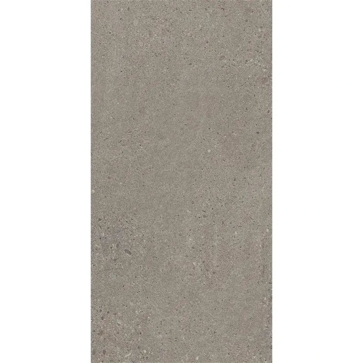 Castelvetro Konkrete 'Cenere', vloer- en wandtegel grijs mat 30x60cm