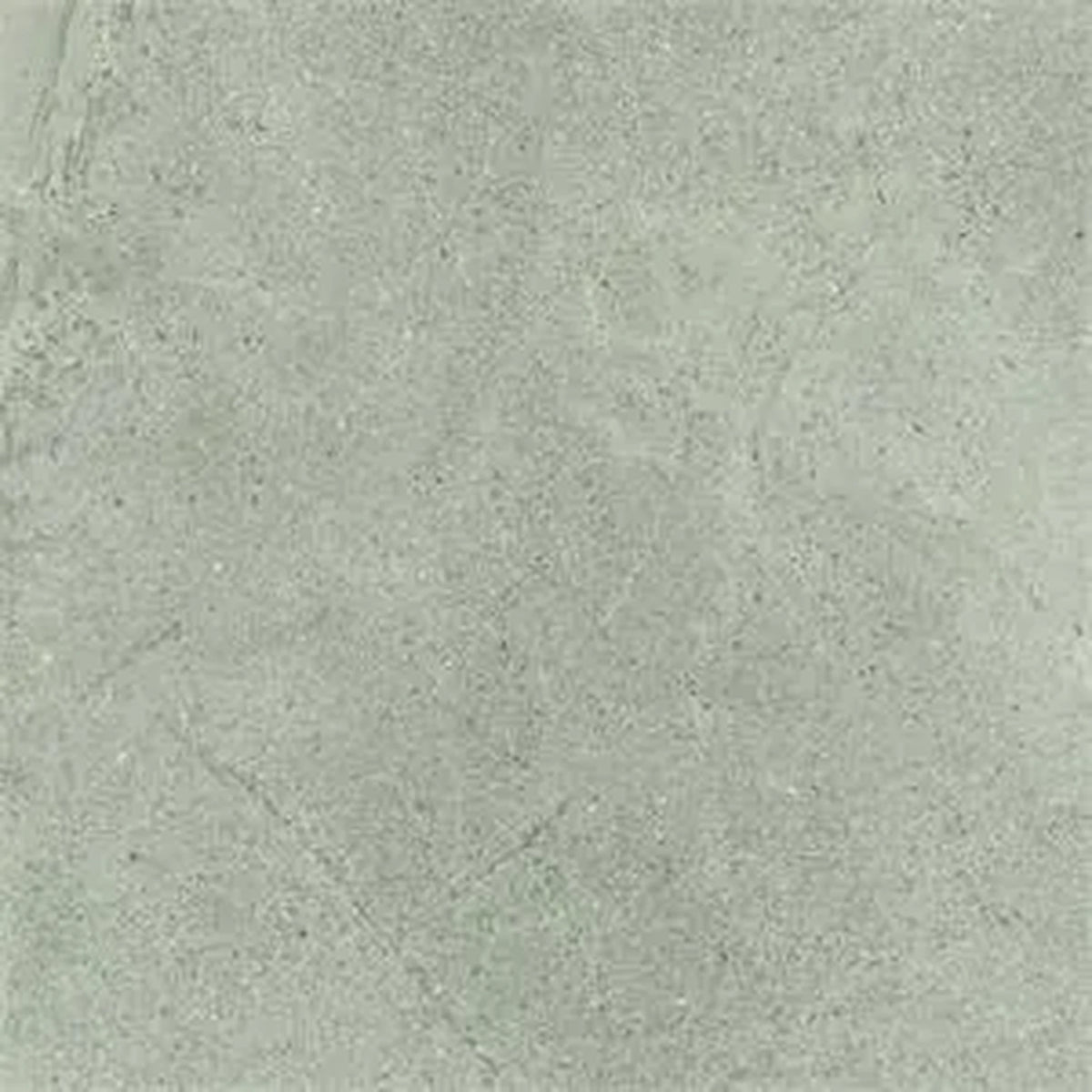 Castelvetro Life 'Grigio', vloer- en wandtegel grijs mat 60x60cm