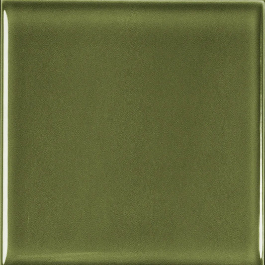 Estudio Cerámico Metropolis 'Vivid Green', wandtegel groen glans 10x10cm
