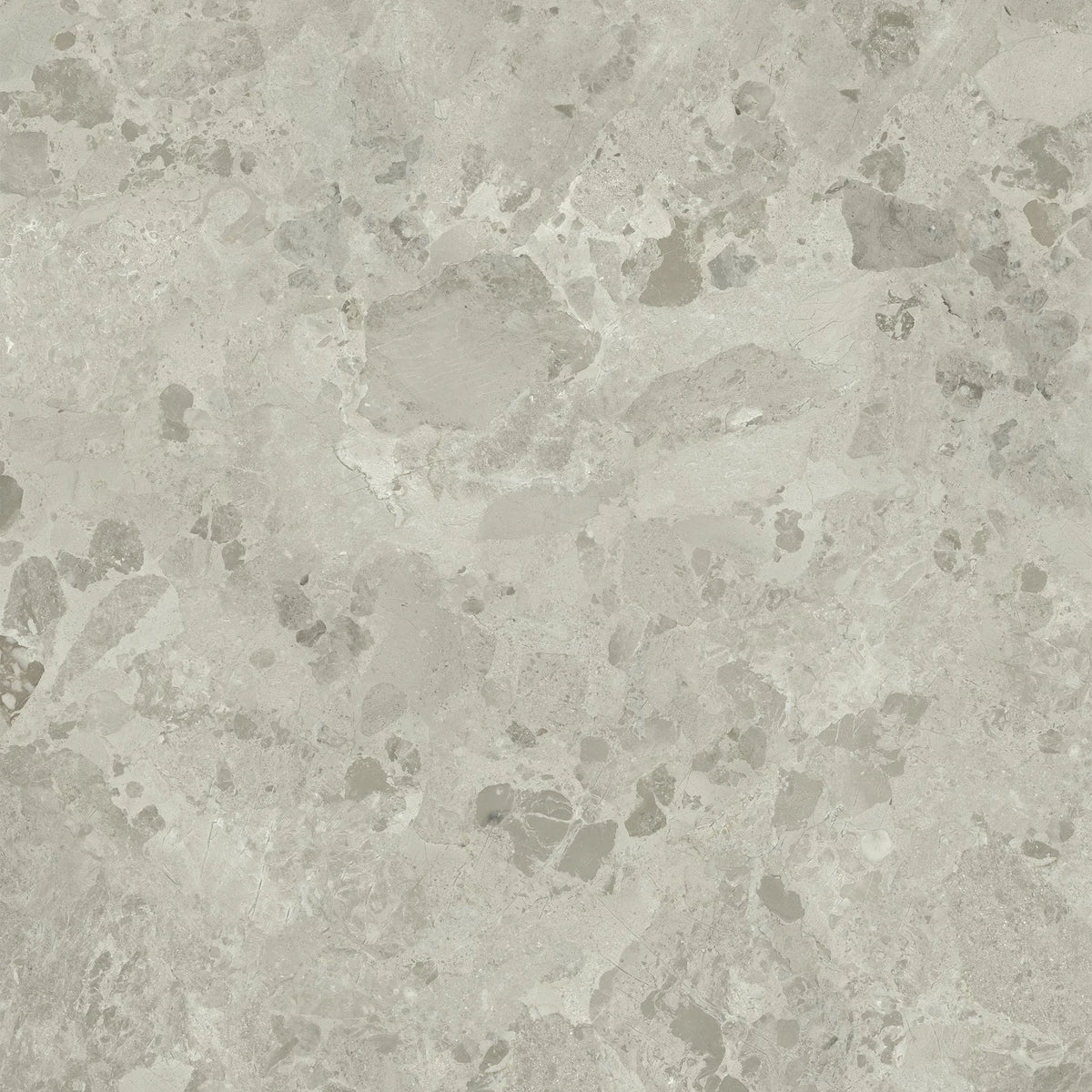 EnergieKer PetraViva 'Greige', vloer- en wandtegel beige en grijs mat 60x120cm