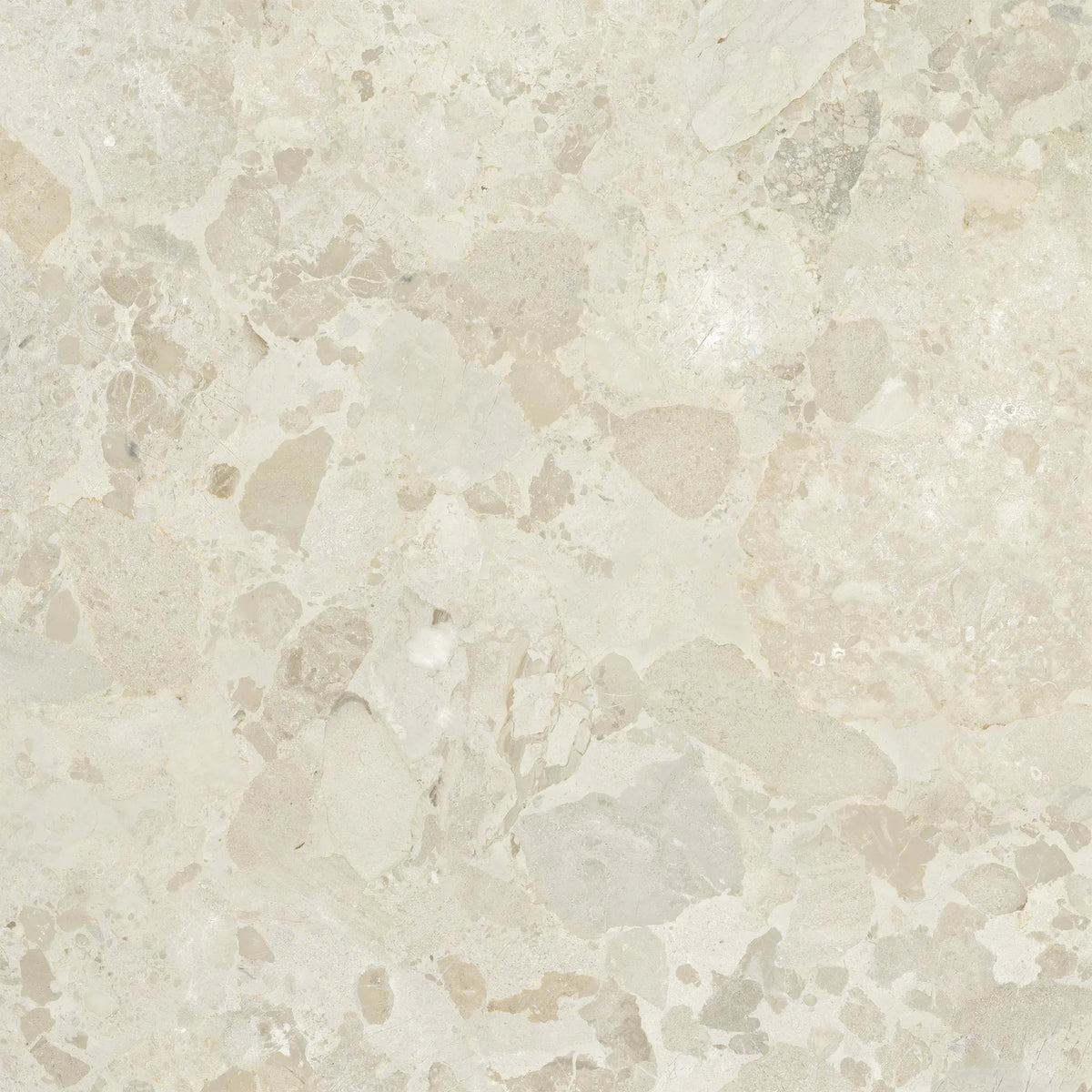 EnergieKer PetraViva 'Ivory', vloer- en wandtegel crème mat 120x120cm