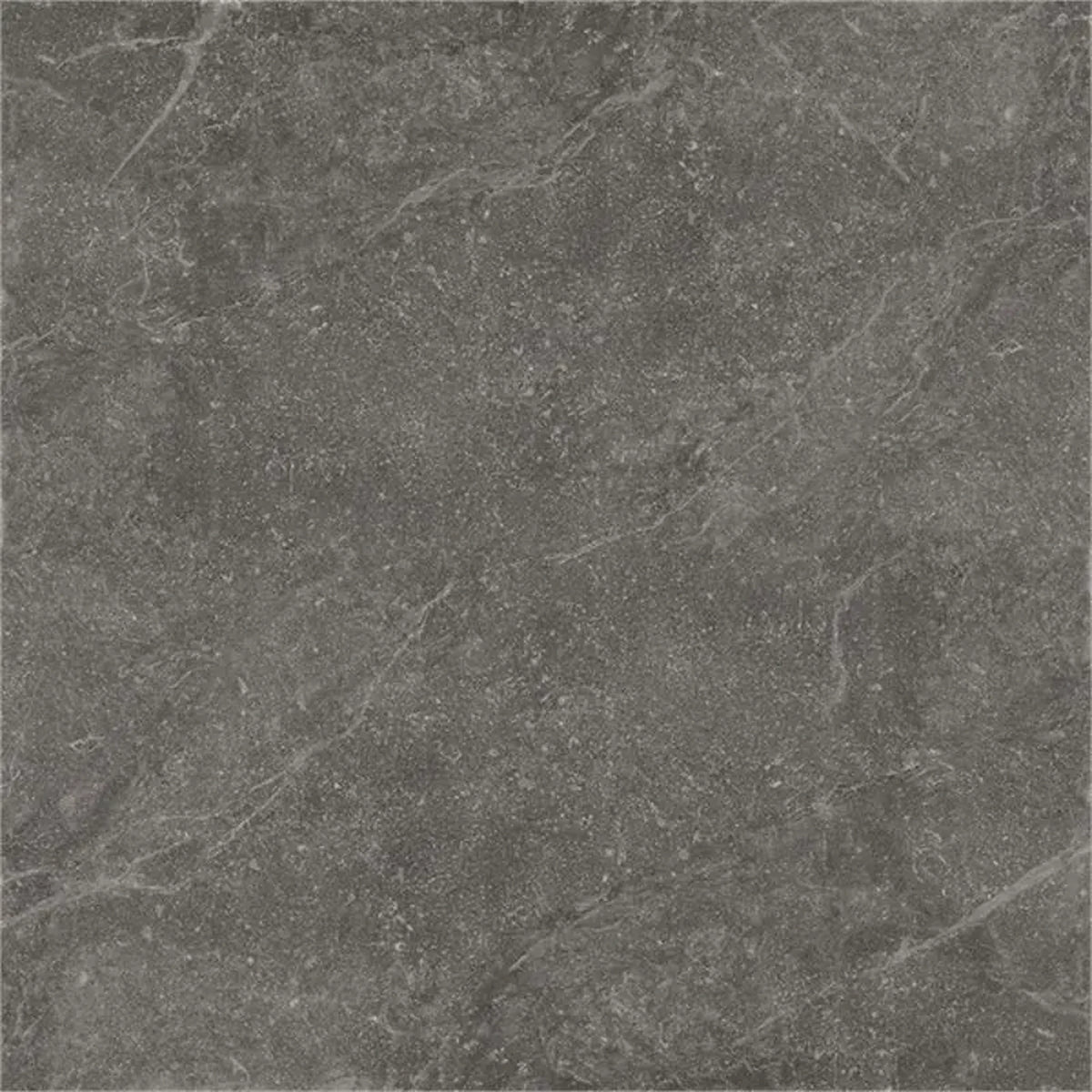 Castelvetro Pietra Antica 'Iron', vloer- en wandtegel grijs mat 100x100cm