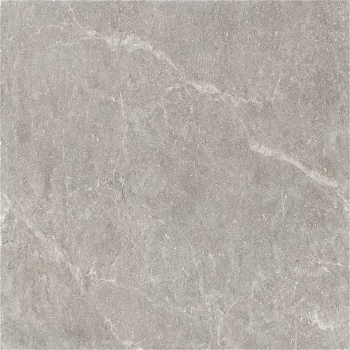 Castelvetro Pietra Antica 'Grey', vloer- en wandtegel grijs mat 60x120cm