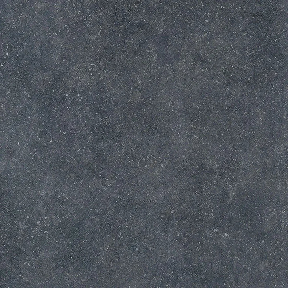 Casalgrande Padana Stile 'Black', vloer- en wandtegel antraciet mat 30x60cm