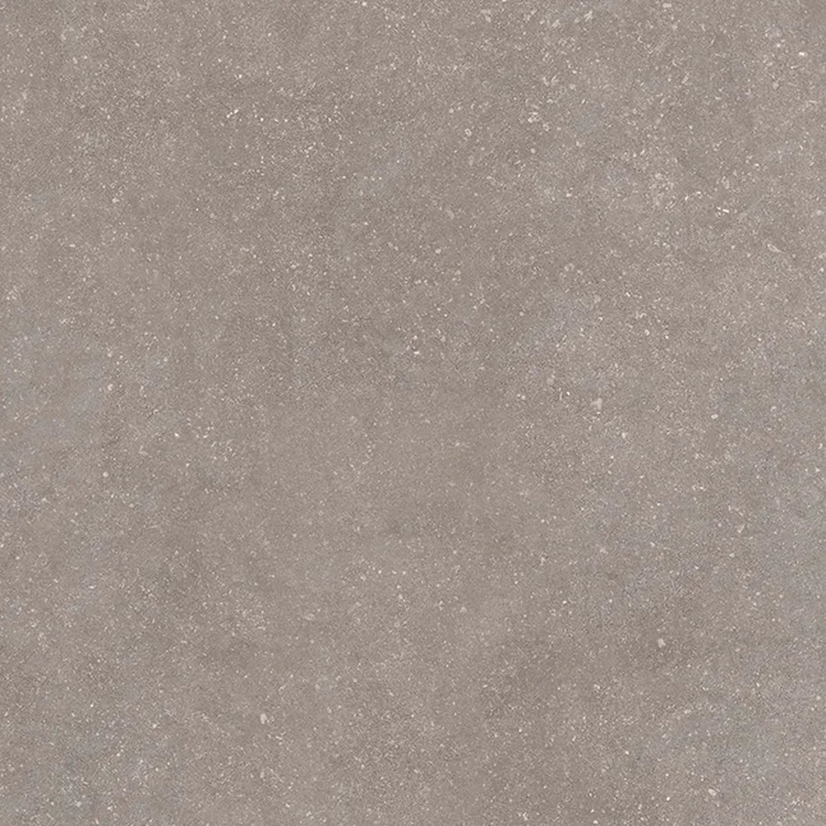 Casalgrande Padana Stile 'French Grey', vloer- en wandtegel grijs mat 60x60cm