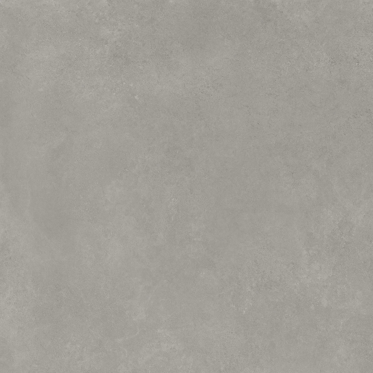 Argenta Cerámica Tanum 'Ceniza', vloer- en wandtegel grijs mat 75x75cm
