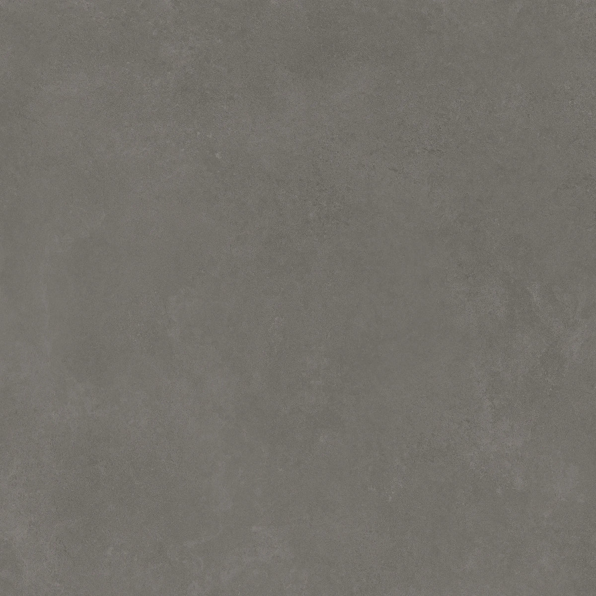 Argenta Cerámica Tanum 'Plomo', vloer- en wandtegel grijs mat 75x75cm