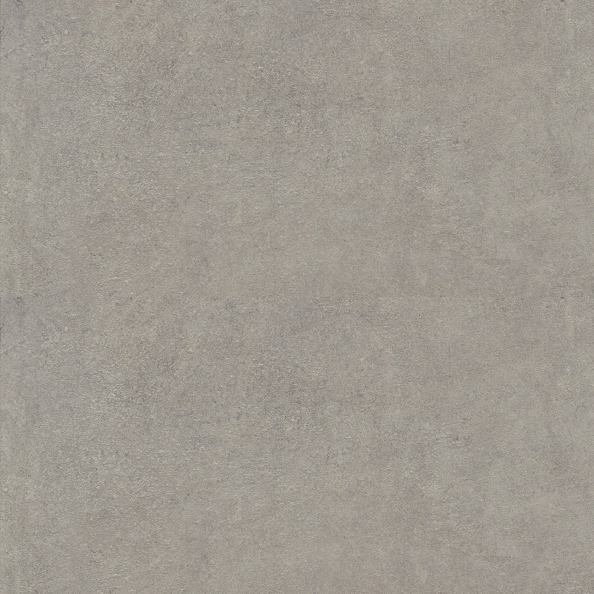 Castelvetro Terrae 'Silver', vloer- en wandtegel grijs mat 30x60cm