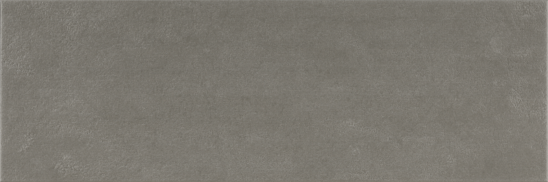 Argenta Cerámica Wave 'Plumb', wandtegel betonlook donkergrijs mat gerectificeerd 40x120cm