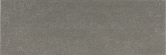 Argenta Cerámica Wave 'Plumb', wandtegel betonlook donkergrijs mat gerectificeerd 40x120cm