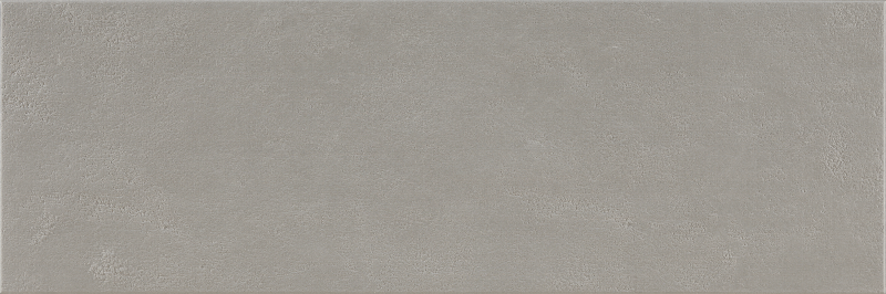 Argenta Cerámica Wave 'Concrete', wandtegel betonlook grijs mat gerectificeerd 40x120cm